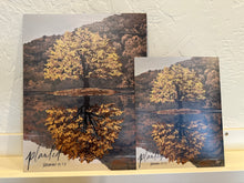 Load image into Gallery viewer, Planted | Jeremiah 17v7&amp;8