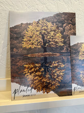Load image into Gallery viewer, Planted | Jeremiah 17v7&amp;8