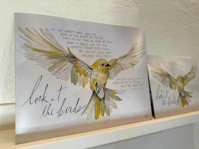 Look at the Birds | Matthew 6